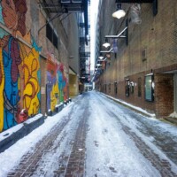 Photo © Jim Koepnick