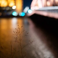 Photo prise avec l'objectif Laowa Argus 33mm F0.95 CF APO