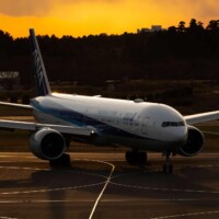 Photo prise avec le Panasonic Lumix S 70-300 f/4.5-5.6