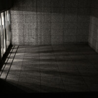 Photo prise avec l'Objectif NIKKOR Z 28mm/2.8 SE