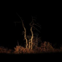 Photo prise avec le Pentax K-3 III