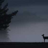 Photo © Nicolas de Vaulx, avec un Canon EOS R5