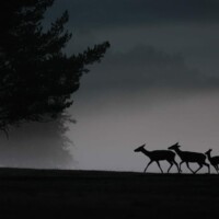 Photo © Nicolas de Vaulx, avec un Canon EOS R5