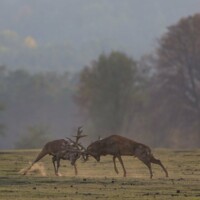 Photo © Nicolas de Vaulx, avec un Canon EOS R5