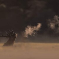 Photo © Nicolas de Vaulx, avec un Canon EOS R5