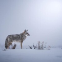 Photo © Brooke Bartelson