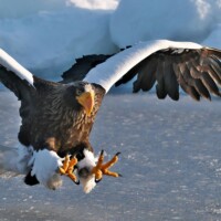 Photo © Tadateru Takahashi, prise avec Fuji X-H2S