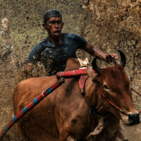 Photo © Ulet Ifansasti, prise avec Fuji X-H2S