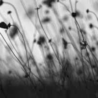 Photo © Loris Faé
