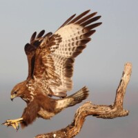 Photo prise avec Canon EOS R7