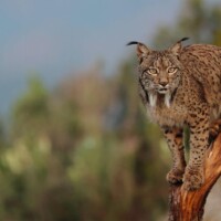 Photo prise avec Canon EOS R7