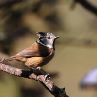 Photo prise avec Canon EOS R7