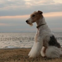 Photo prise avec Canon EOS R7