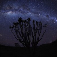 Photo prise avec Canon EOS R