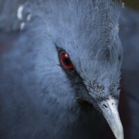 Photo prise avec le Tamron 100-400mm F4.5-6.3 Di VC USD