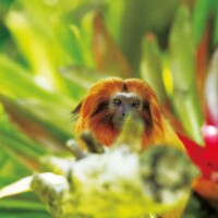 Photo prise avec Pentax K-1 II