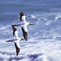 Photo prise avec Pentax K-1 II