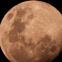 Photo prise avec le bridge Nikon Coolpix P1000