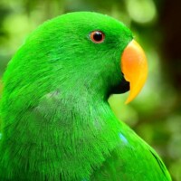 Photo prise avec le bridge Nikon Coolpix P1000