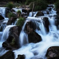 Photo © Patrick Scholz, prise avec OM SYSTEM OM-5