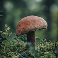 Photo © Rania Ronntoft, prise avec OM SYSTEM OM-5