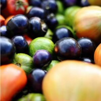 Photo prise avec Canon EOS R8