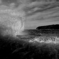 Photo © Megan Lewis prise avec Fuji X-T5