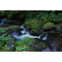 Photo prise avec Pentax KF