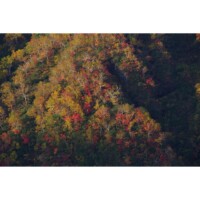 Photo prise avec Pentax KF