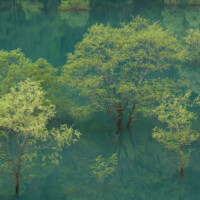 Photo prise avec l'objectif Sony SEL FE 70-200mm f/4 G II