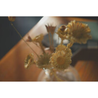 Photo prise avec Sony Alpha 7C II