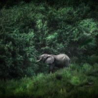 Photo prise avec le Fuji GFX 100 II © Alexandrov Klum