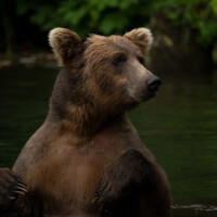 Photo © Andre Costantini avec Tamron 150-500mm f/5-6.7 Di III VC VXD