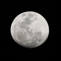 Photo prise avec l'objectif Canon RF 200-800mm f/6.3-9 IS USM