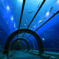 Photo prise avec l'objectif Canon RF-S 10-18mm f/4.5-6.3 IS STM