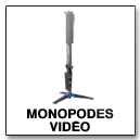 Monopodes vidéo