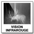 Vision infrarouge