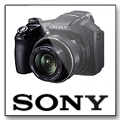 Bridges Sony