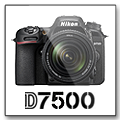 Nikon D7500