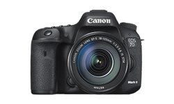Reflex Canon