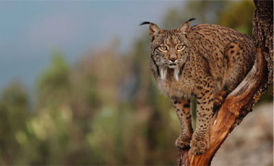 Des résultats au-delà des attentes