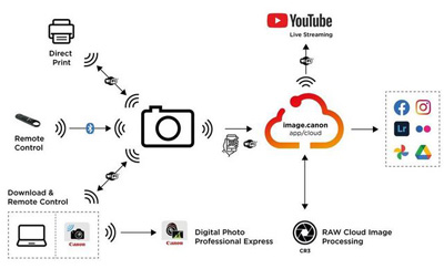 Partagez, envoyez, diffusez et traitez