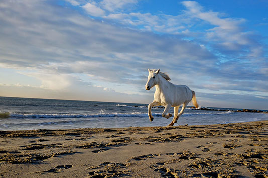 Fonction d'AF prédictif évoluée