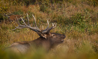 4K/30p à partir de 8K
