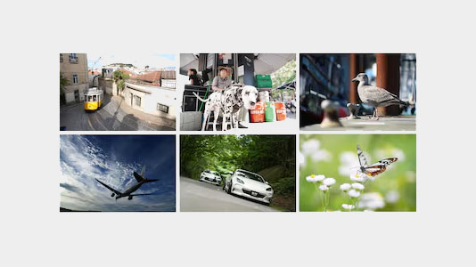 Sony Alpha 7 V - Une mise au point intelligente