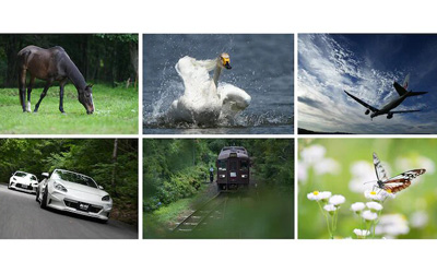 Reconnaissance de sujets