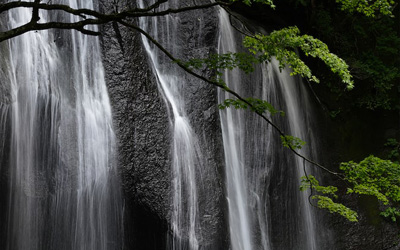 La balance des blancs