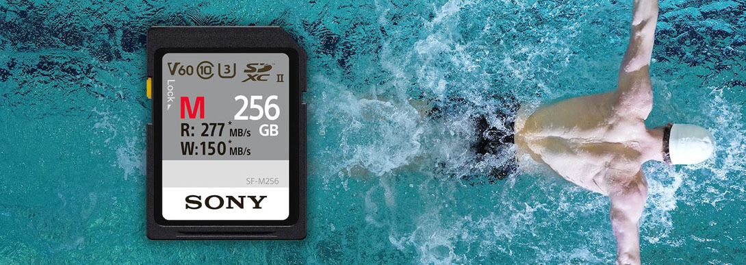 Une carte SD complète