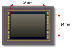 Capteur numérique plein format (Full Frame), 36 x 24 mm : Nikon D610, Df, D4s / Canon 5D III, 6D / Sony Alpha 7, 7R, RX1, RX1 R par exemple